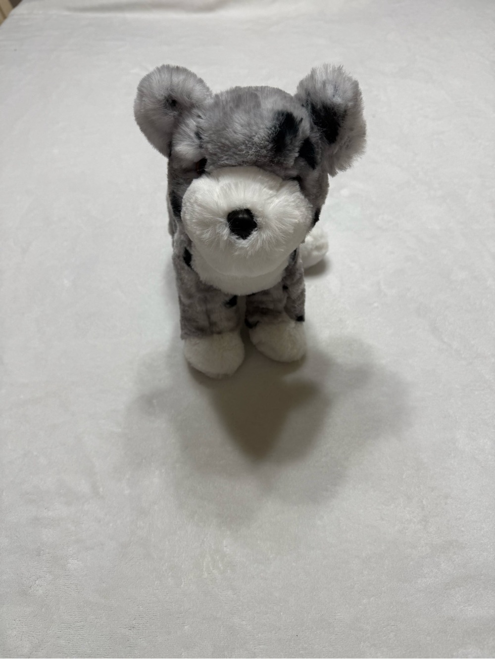 Douglas Miles the AussieDoddle NWT